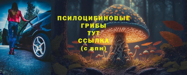 спиды Алзамай